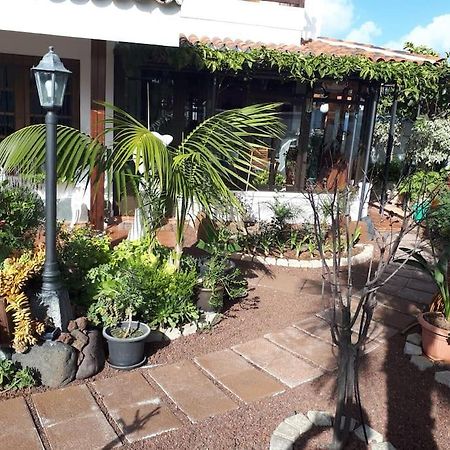 Apartamento Tranquilo En Una Casa Con Jardin Сан-Кристобаль-де-Ла-Лагуна Экстерьер фото