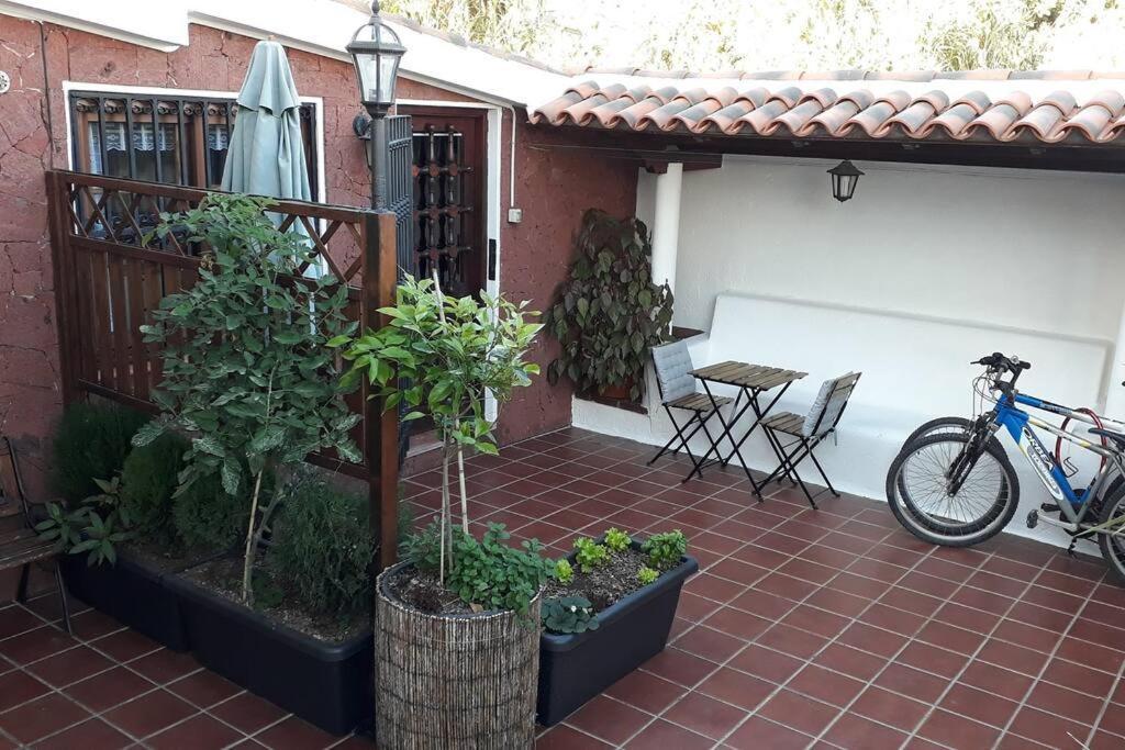 Apartamento Tranquilo En Una Casa Con Jardin Сан-Кристобаль-де-Ла-Лагуна Экстерьер фото