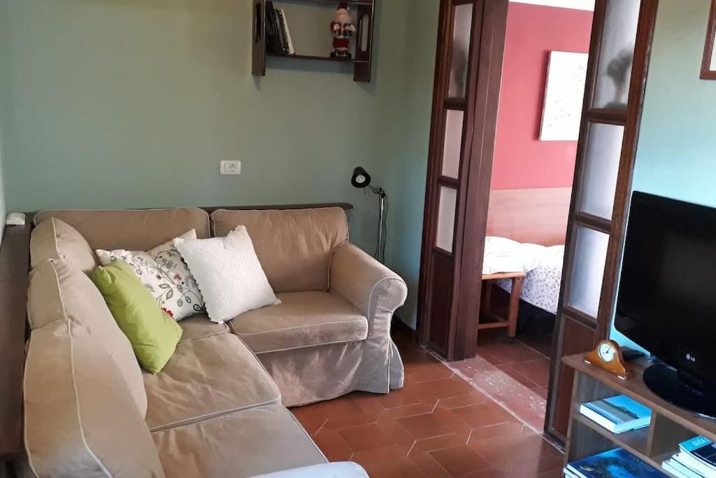Apartamento Tranquilo En Una Casa Con Jardin Сан-Кристобаль-де-Ла-Лагуна Экстерьер фото
