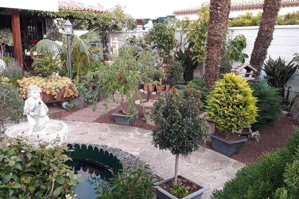 Apartamento Tranquilo En Una Casa Con Jardin Сан-Кристобаль-де-Ла-Лагуна Экстерьер фото