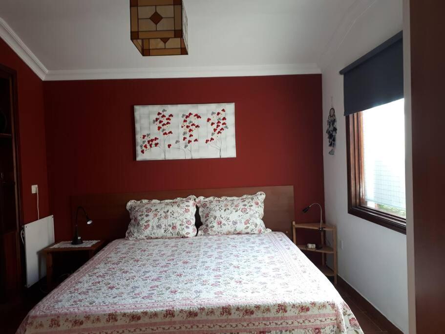 Apartamento Tranquilo En Una Casa Con Jardin Сан-Кристобаль-де-Ла-Лагуна Экстерьер фото