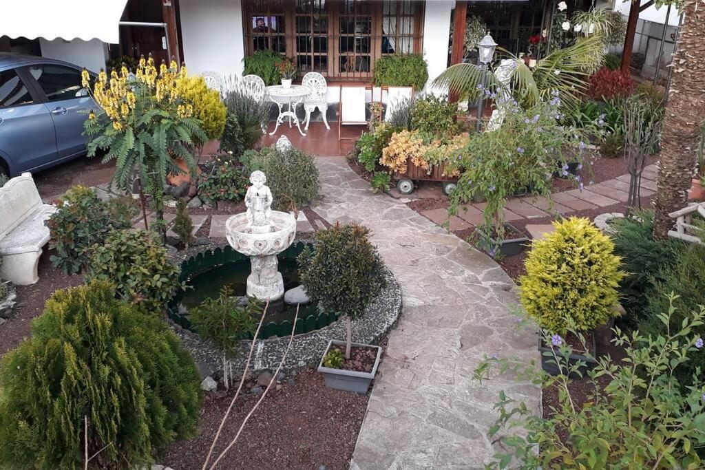 Apartamento Tranquilo En Una Casa Con Jardin Сан-Кристобаль-де-Ла-Лагуна Экстерьер фото