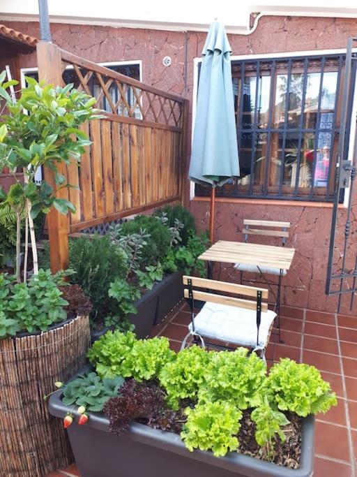 Apartamento Tranquilo En Una Casa Con Jardin Сан-Кристобаль-де-Ла-Лагуна Экстерьер фото