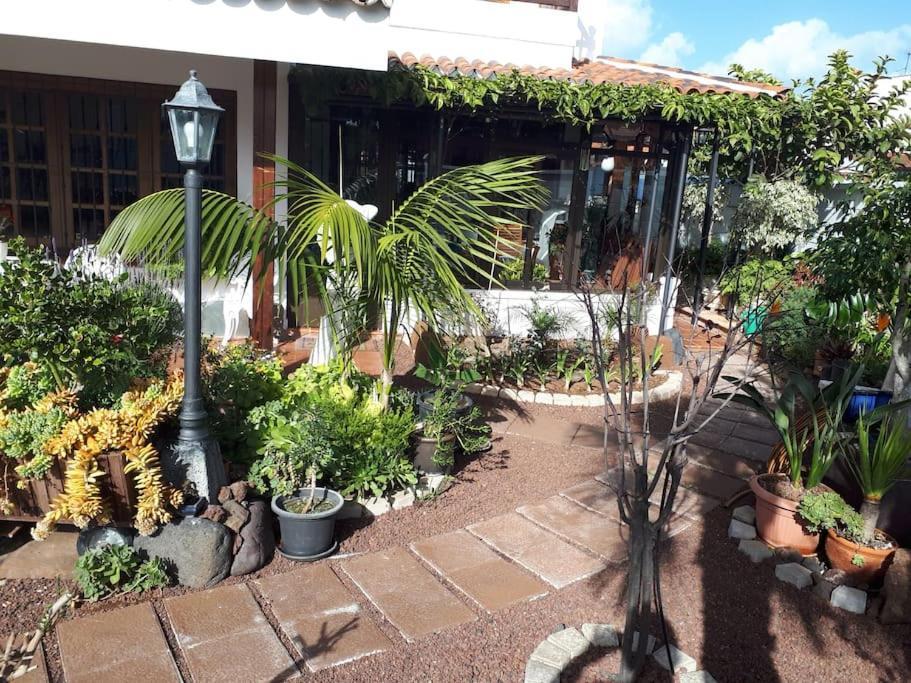 Apartamento Tranquilo En Una Casa Con Jardin Сан-Кристобаль-де-Ла-Лагуна Экстерьер фото
